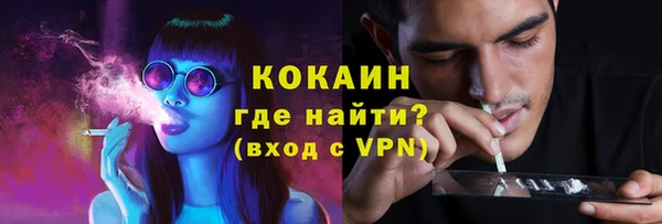 ГАЛЛЮЦИНОГЕННЫЕ ГРИБЫ Липки