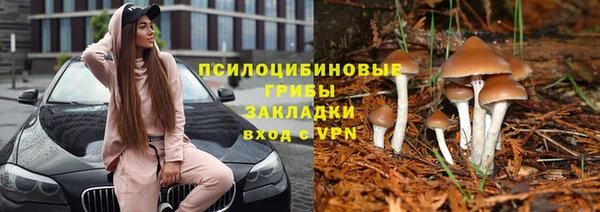 apvp Лихославль