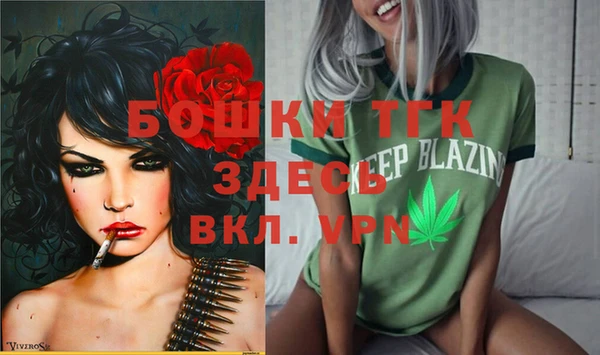ГАЛЛЮЦИНОГЕННЫЕ ГРИБЫ Липки